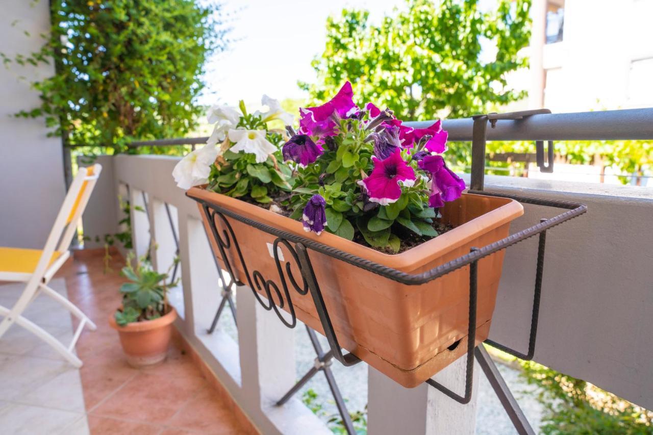Secret Garden 76 Sq.M. Apartment Close To City Center يانينة المظهر الخارجي الصورة